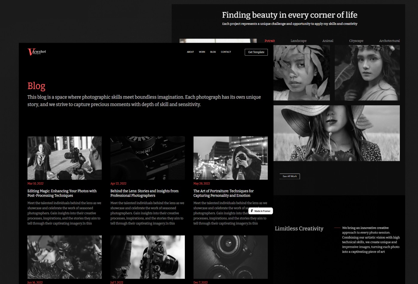 Screenshot 4 for Viewshot, a Framer Marketplace template by Honocoroko.